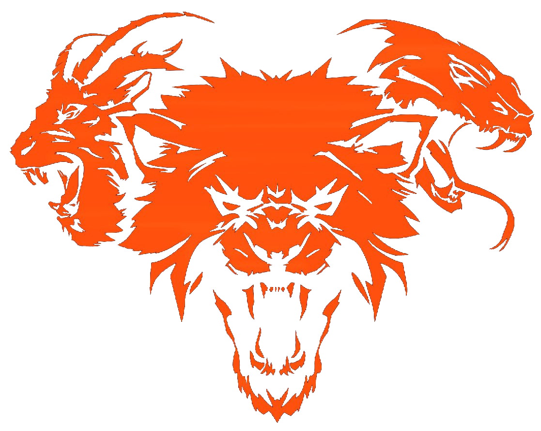 CDL Weapon Classes | December